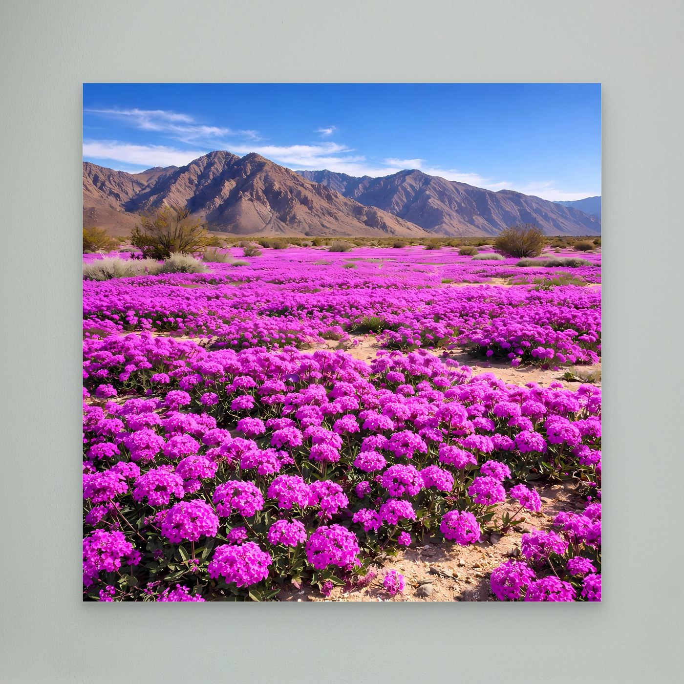 Leinwandbild mit violettem Blütenfeld in der Wüste und Bergpanorama, ohne Rahmen
