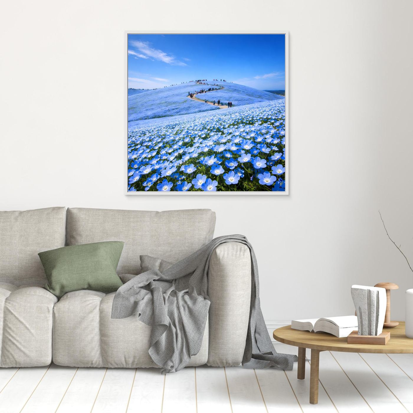 Leinwandbild mit blauem Blütenmeer aus Nemophila-Blumen, weißer Rahmen