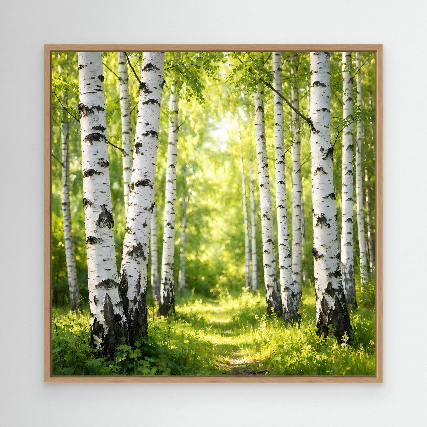 Leinwandbild Birkenwald im Sonnenlicht mit grüner Lichtung, Eichenholzrahmen