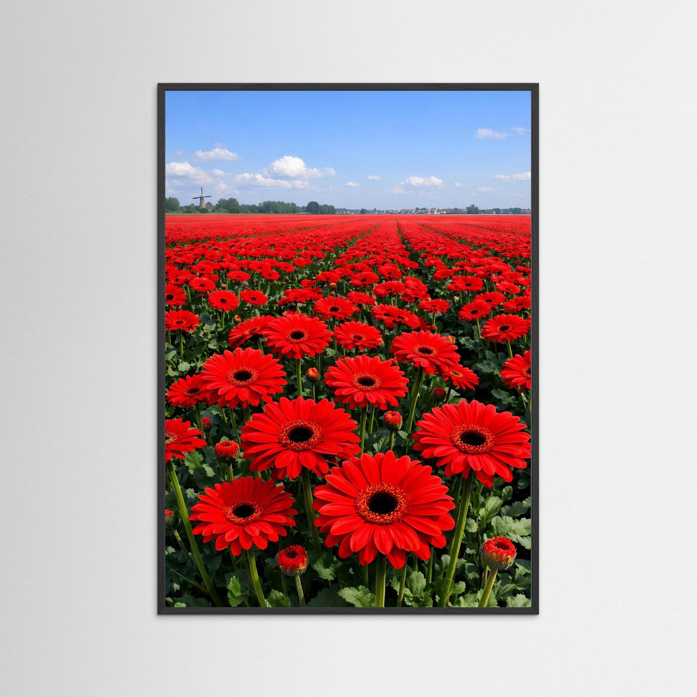 Gerbera-Poster im schwarzen Rahmen, rotes Blütenmeer mit Linienperspektive