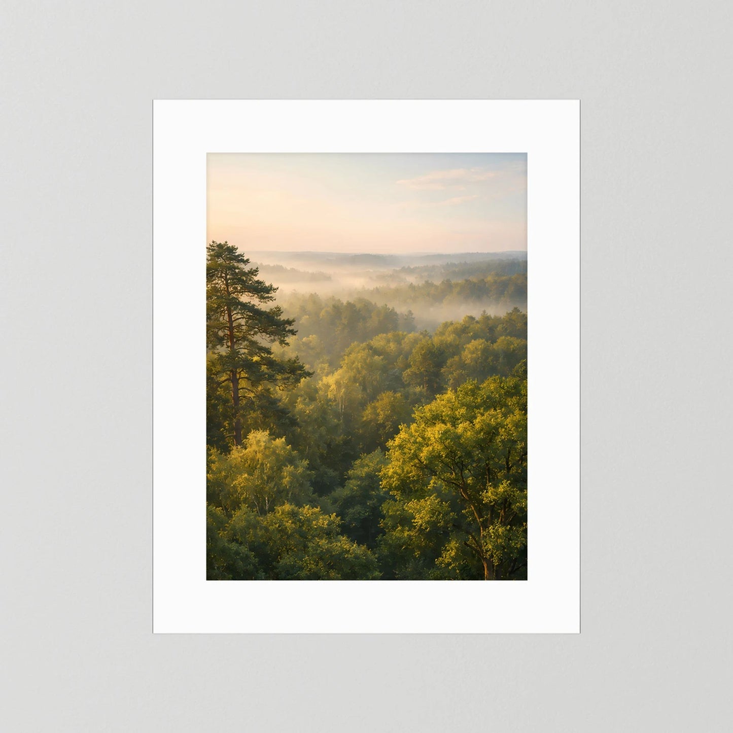 Hochformat-Poster Waldlandschaft mit weißem Passepartout ohne sichtbaren Rahmen