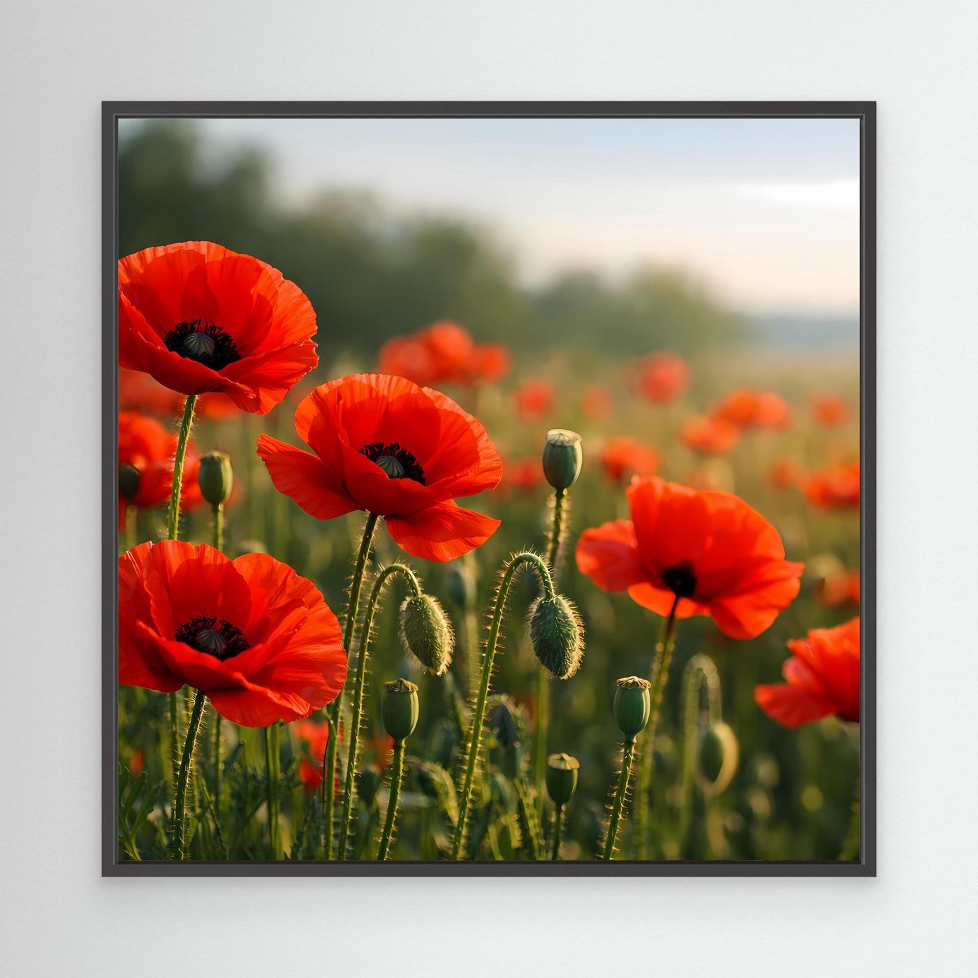 Klatschmohn-Wandbild mit schwarzem Rahmen, rote Blüten und grüne Kapseln