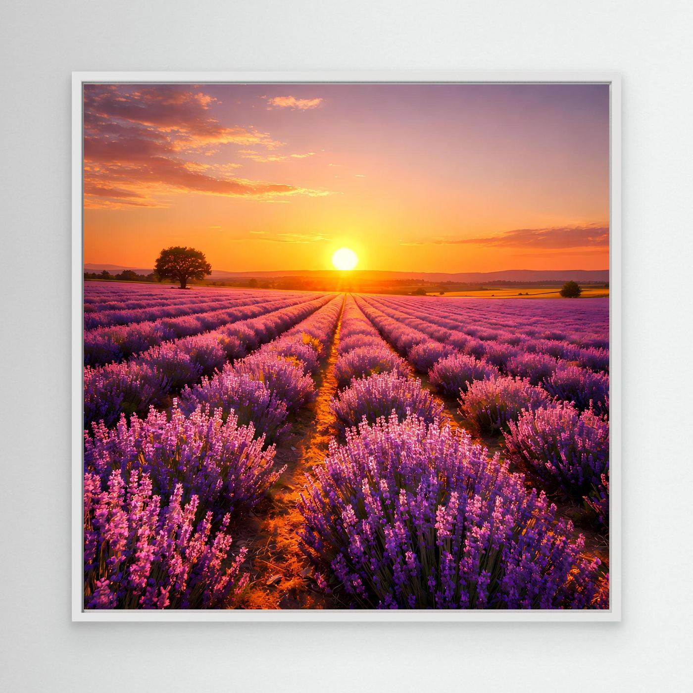 Leinwandbild mit Lavendelfeld in Violett und Sonnenuntergang, weißer Rahmen