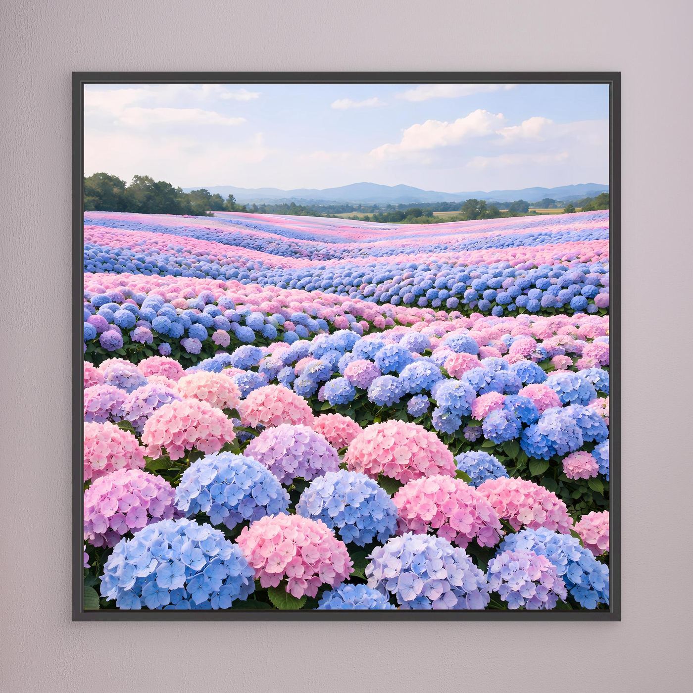 Leinwandbild mit Hortensienfeld in Pastellfarben, schwarz gerahmt