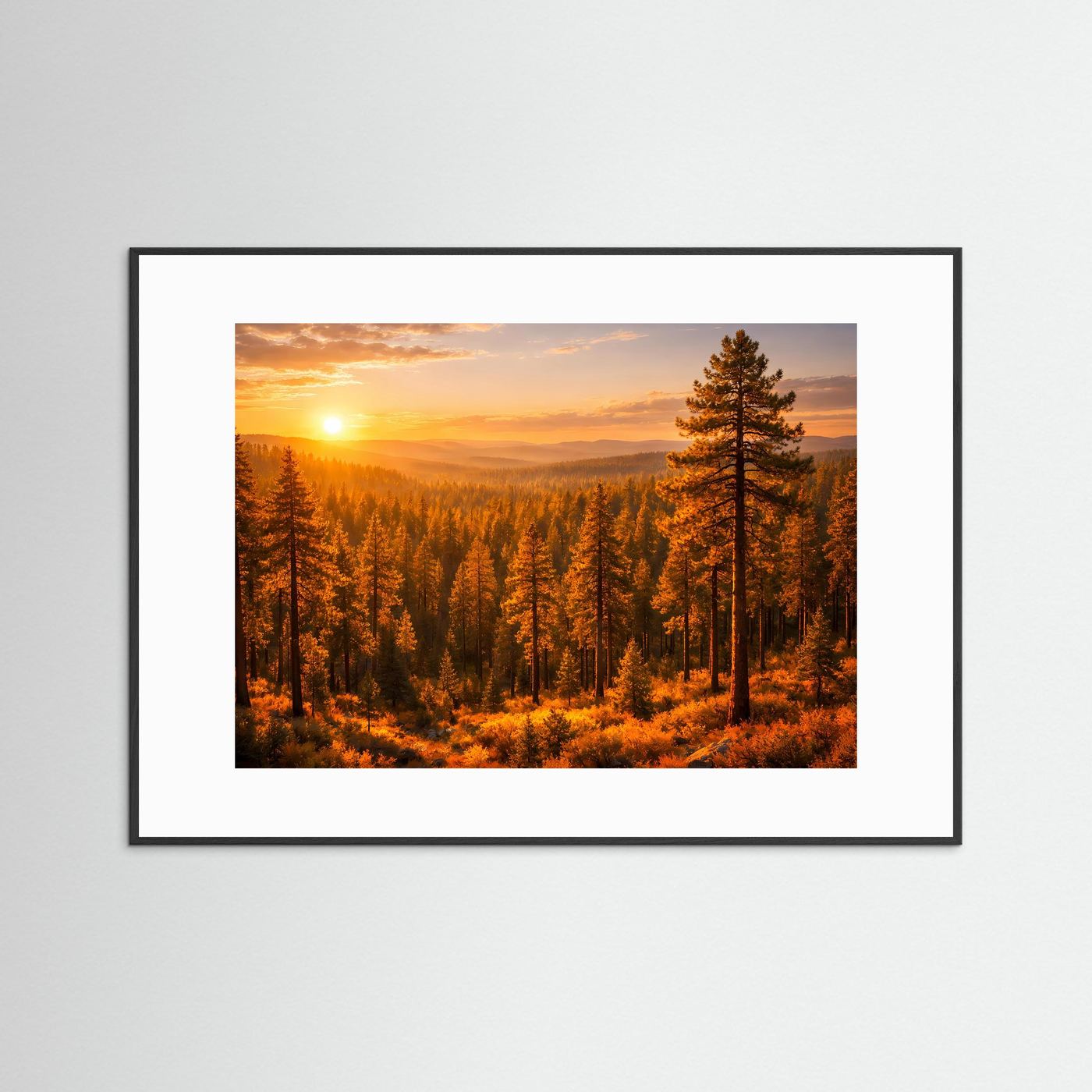 Querformatiges Naturposter mit Sonnenaufgang und Kiefern im goldenen Wald, schwarzer Rahmen und weißes Passepartout