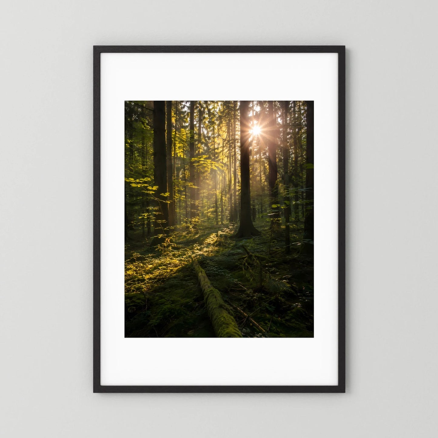 Poster im Hochformat mit schwarzem Rahmen und weißem Passepartout