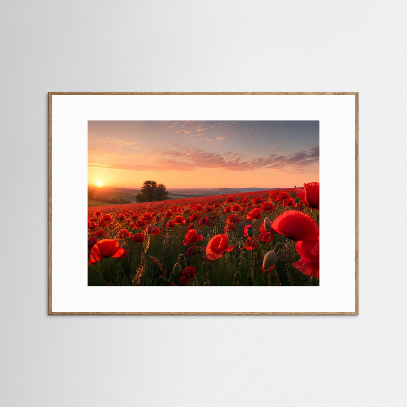 Poster mit rotem Mohnblumenfeld und Sonnenuntergang, Querformat im braunen Holzrahmen
