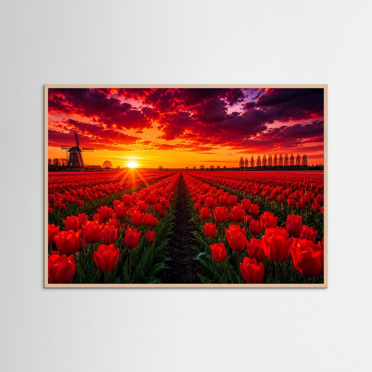 Poster Querformat mit rotem Tulpenfeld, Windmühle und Sonnenuntergang, blauer Holzrahmen