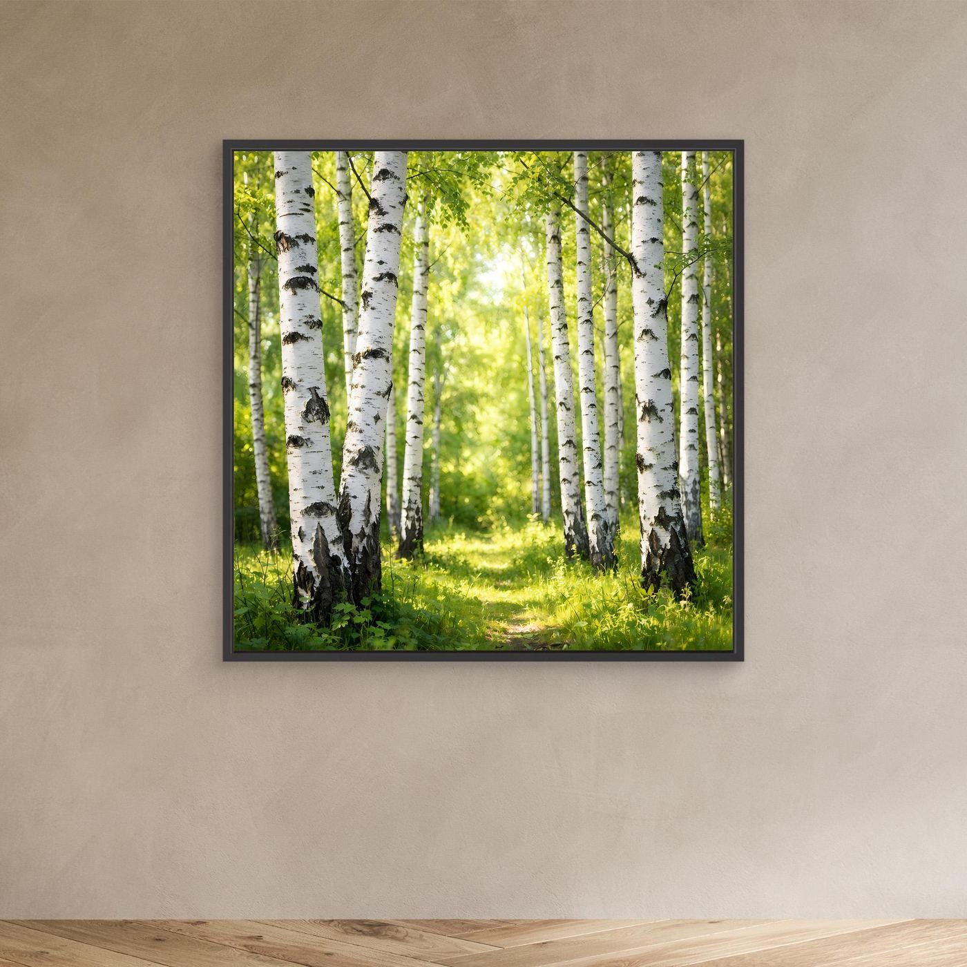 Leinwandbild Birkenwald im Sonnenlicht mit grüner Lichtung, schwarzer Rahmen