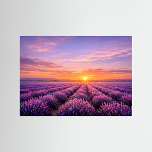 Poster Lavendelfeld in der Provence | Majestätisches Sunset Wandbild