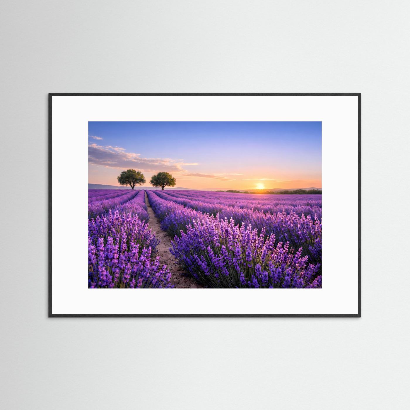 Querformatiges Poster mit violetten Lavendelfeldern im Sonnenuntergang, schwarzer Holzrahmen