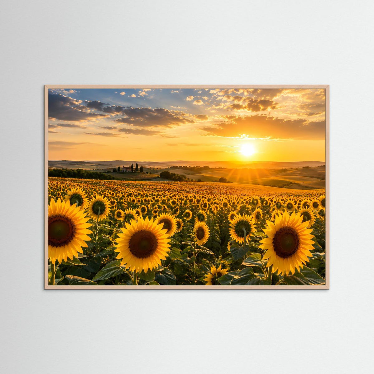 Querformat-Poster mit Sonnenblumenfeld bei Sonnenuntergang mit rosafarbenem Holzrahmen