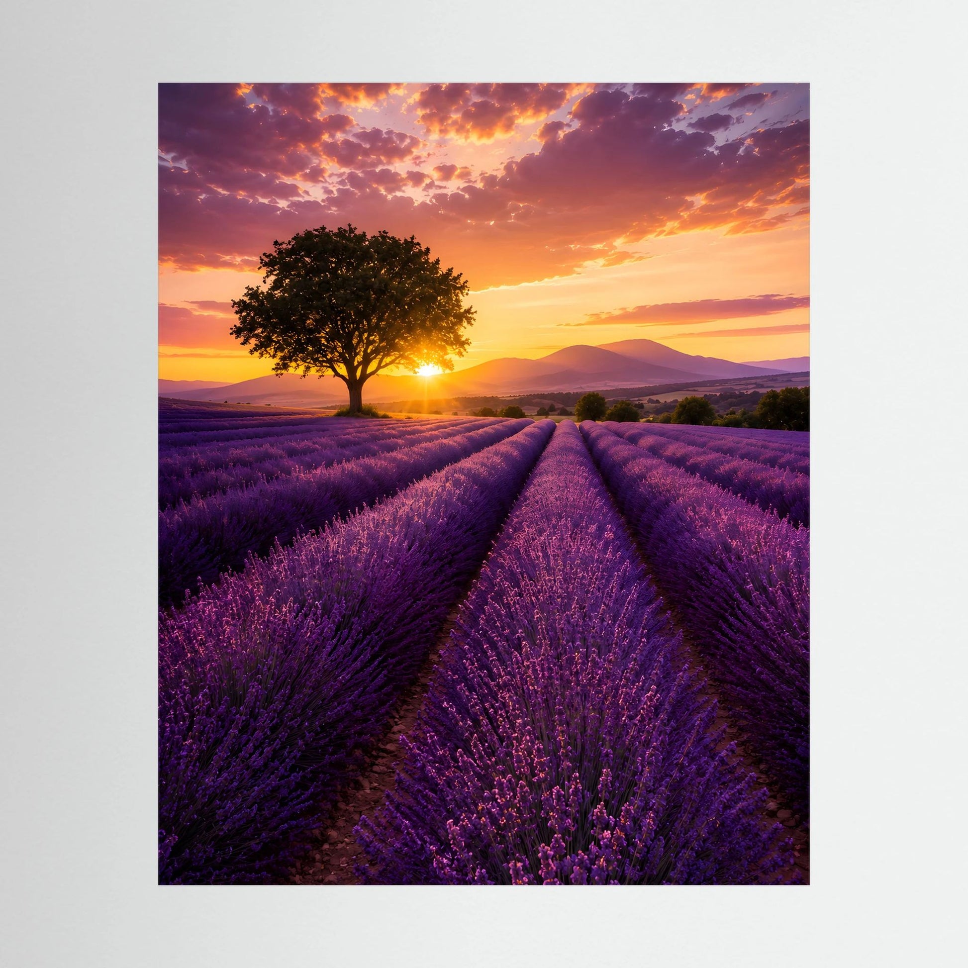 Hochformatiges Lavendelfeldposter bei Sonnenuntergang: violette Felder und goldener Himmel