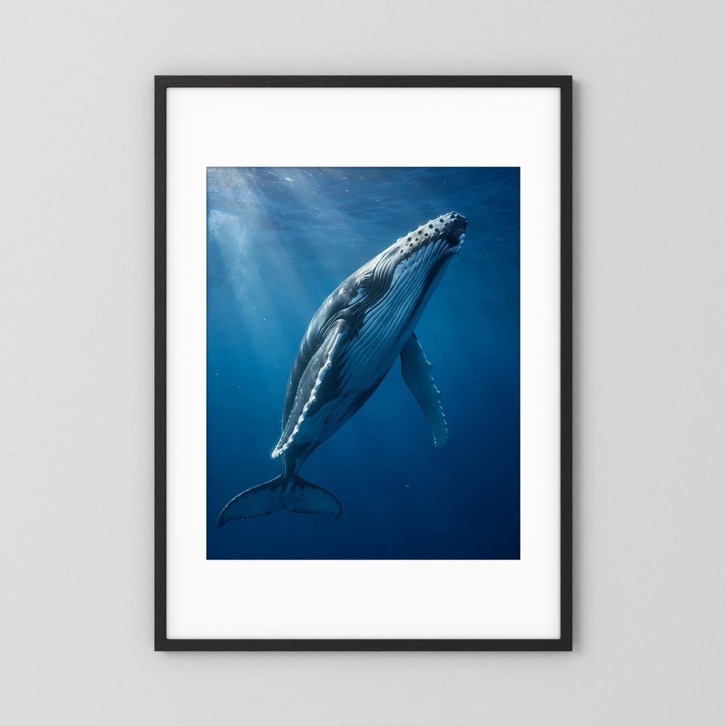 Poster mit Buckelwal unter Wasser, blauer Farbverlauf, Hochformat, schwarzer Bilderrahmen
