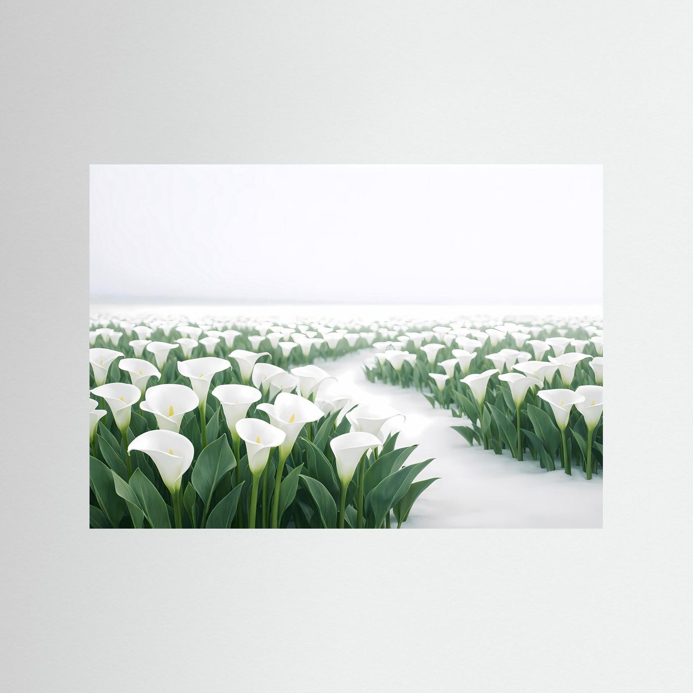Weiße Calla Lilien im Schnee | Elegantes Blumen & Natur Poster Querformat