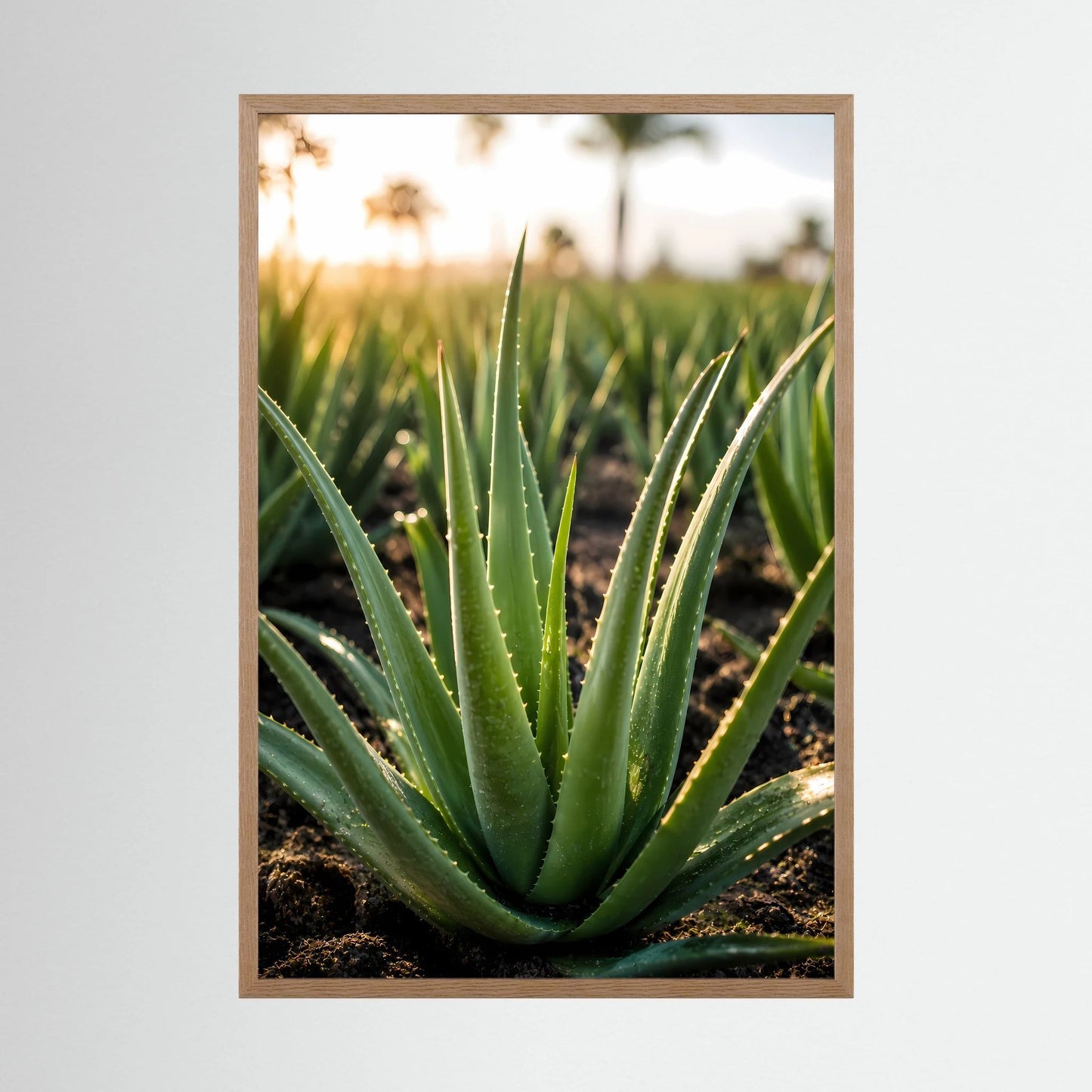 Poster mit Aloe-Vera-Zierpflanze im Eichenrahmen, grünes Blattbündel, Hochformat.