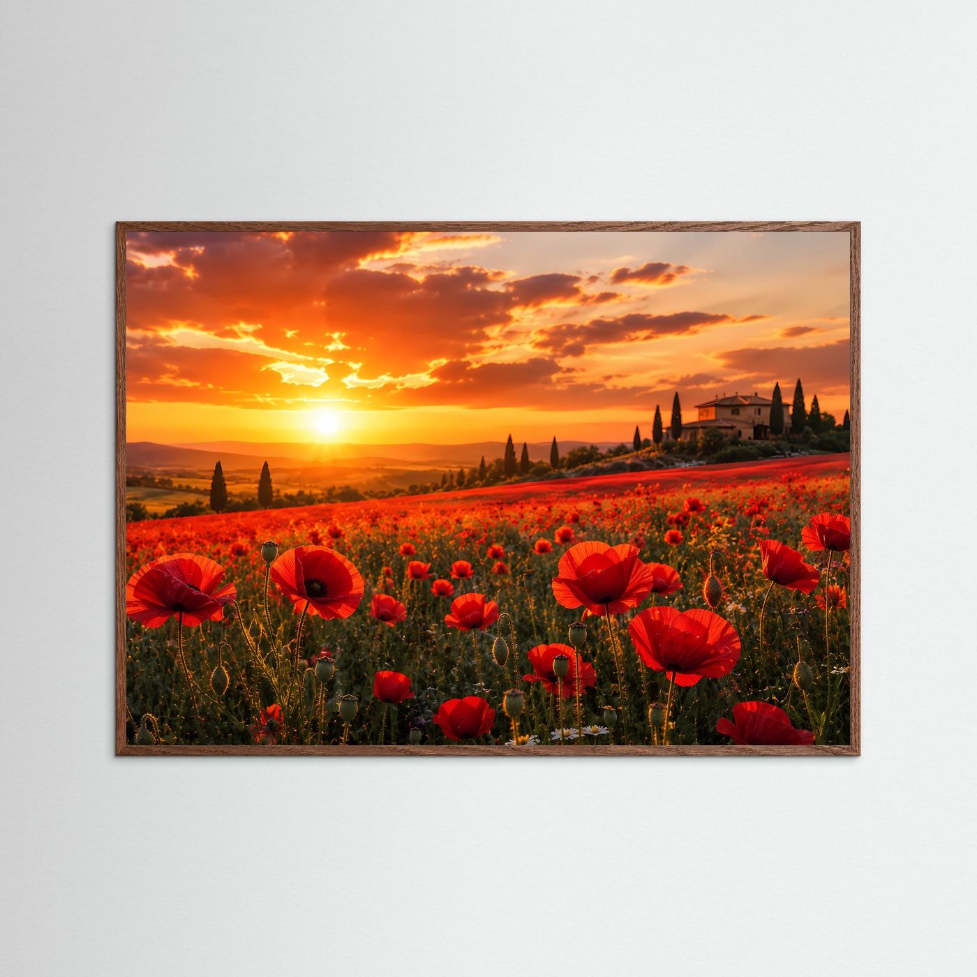 Poster Querformat mit dunkelbraunem Eichenrahmen, rote Mohnblumen bei Sonnenuntergang