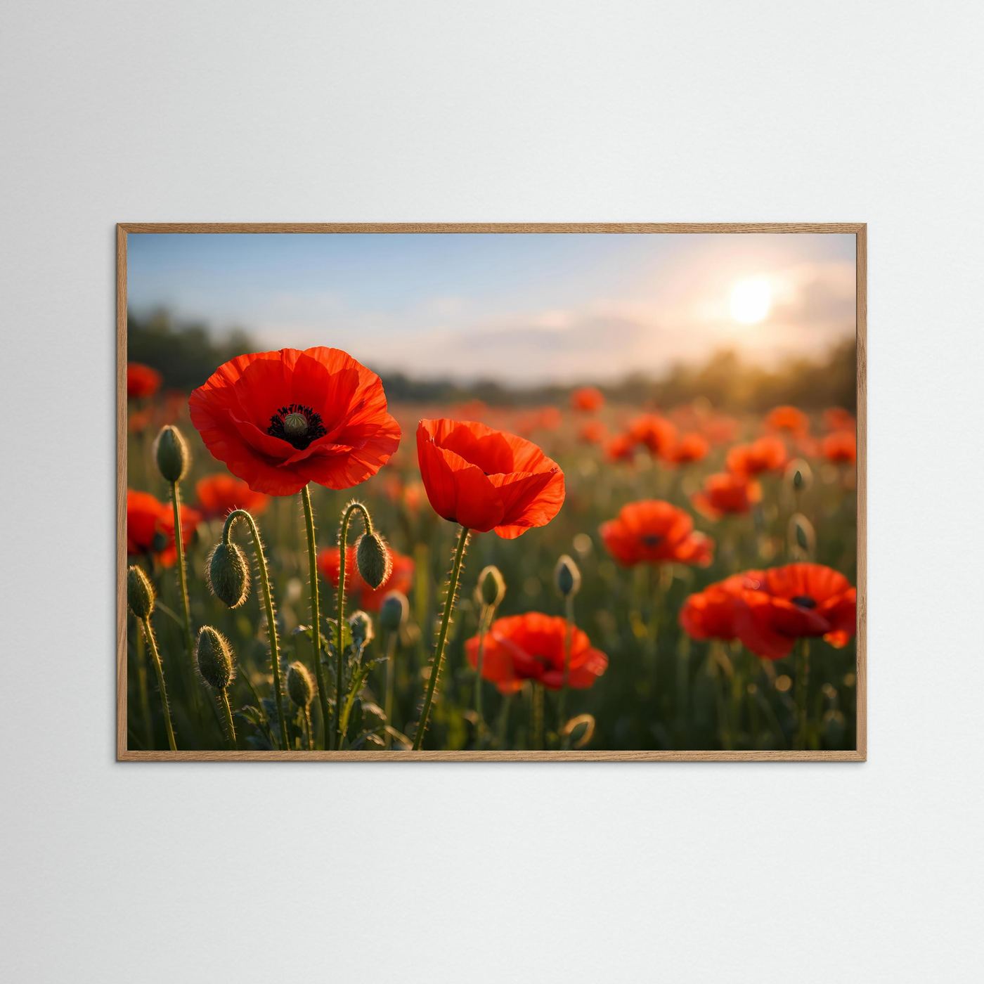 Mohnblumen-Poster mit roten Blüten bei Sonnenuntergang, brauner Holzrahmen