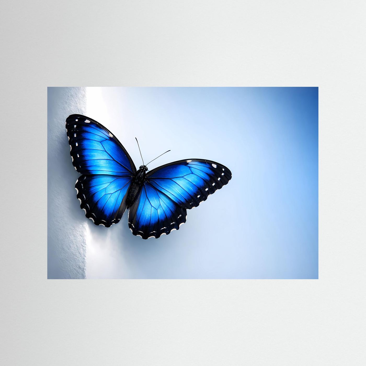 Querformat-Poster mit blauem Schmetterling, ohne Rahmen