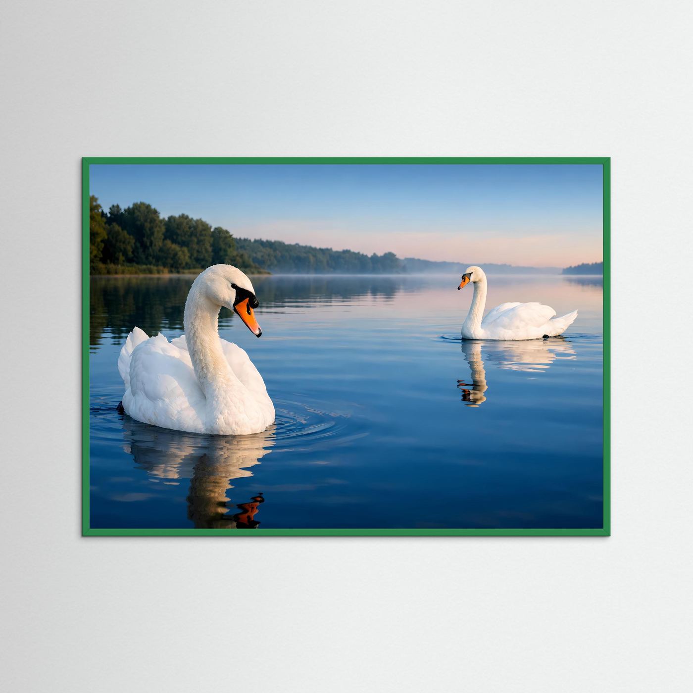 Querformat-Poster mit zwei weißen Schwänen auf ruhigem See, grüner Rahmen