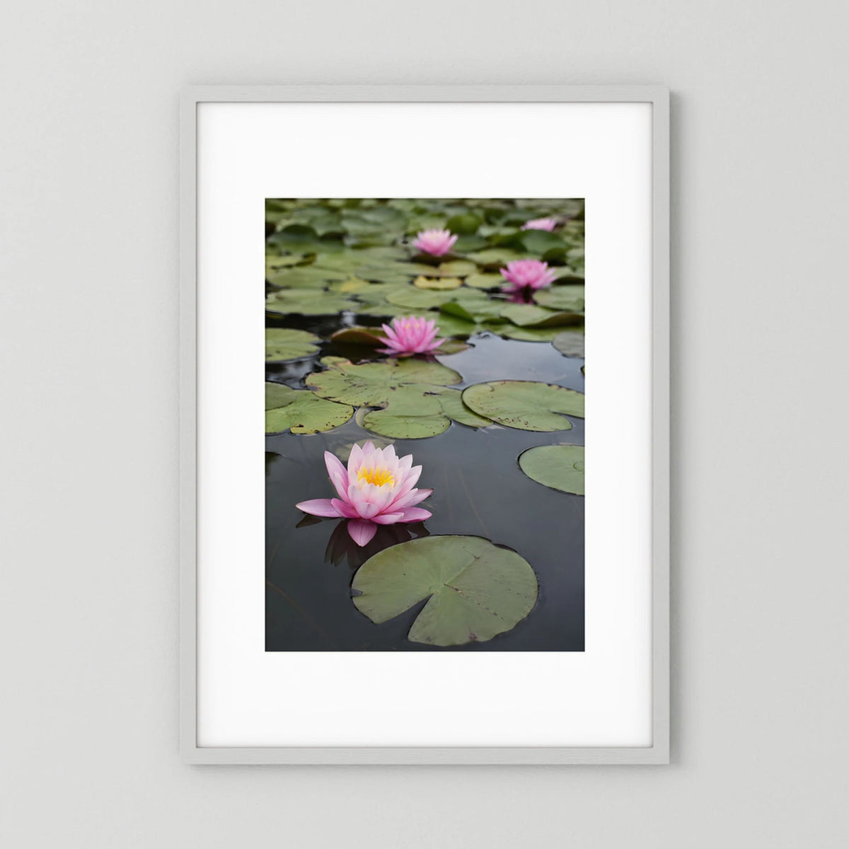 Hochformat-Kunstposter mit rosa Seerosen auf ruhigem Seerosenteich, Blätter im Wasser