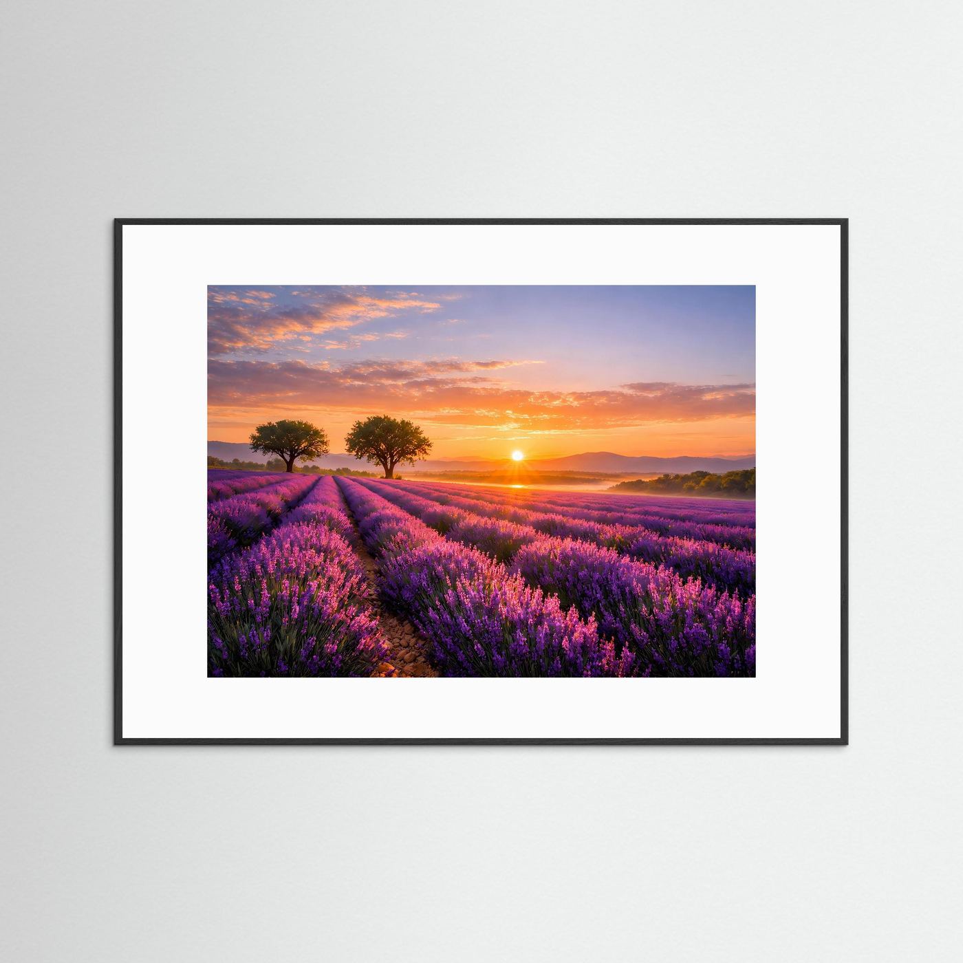 Wandbild mit weißem Passepartout und schwarzem Rahmen: Lavendelfeld bei Sonnenuntergang