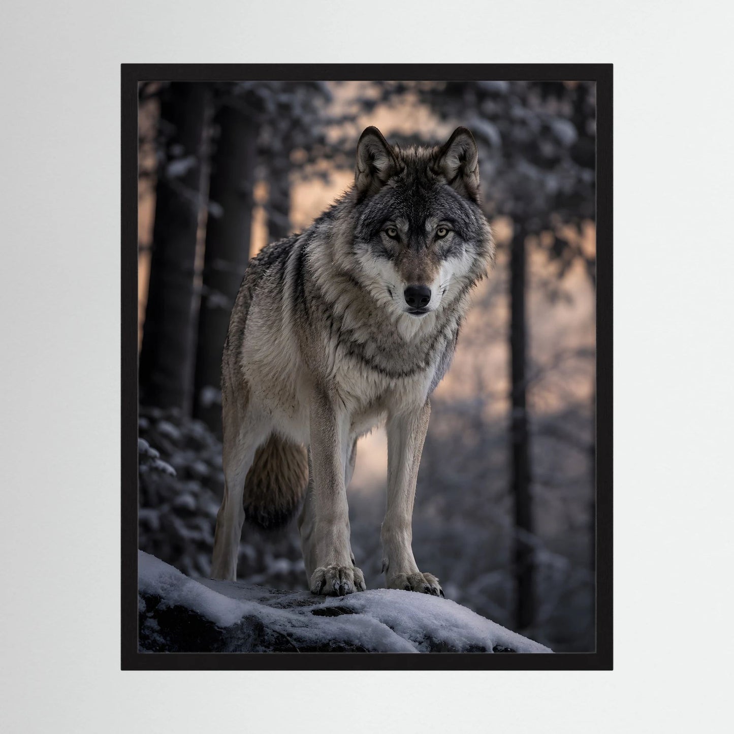 Wolf im Winterwald Hochformat-Poster im schwarzen Rahmen, stehender Grauwolf im Schnee