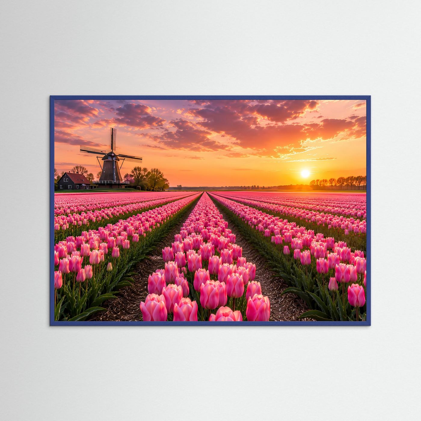 Tulpenfeld Poster Querformat | Rosa Tulpen mit Windmühle im Sonnenuntergang