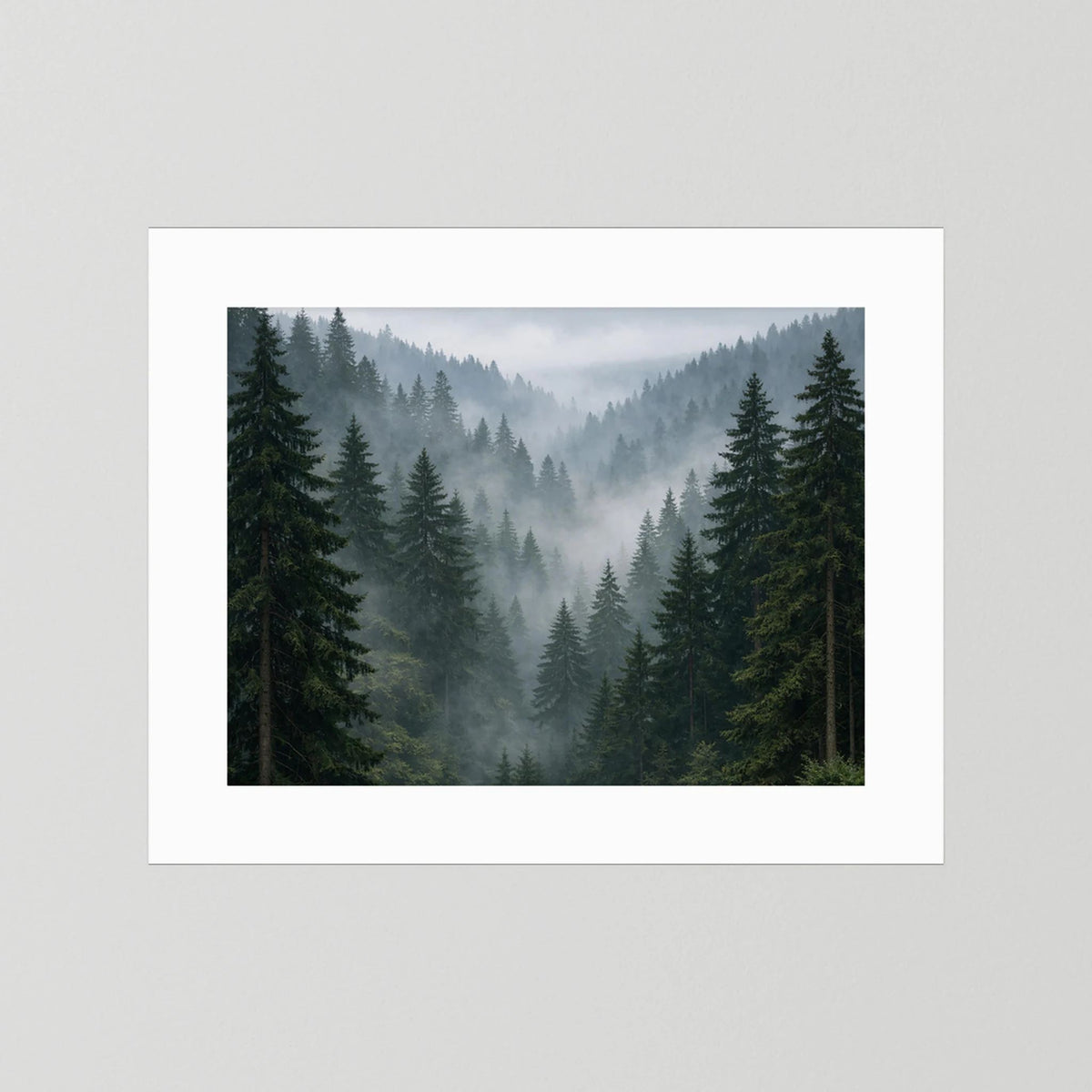 Wandbild Querformat mit Nebelwald und Tannen, weißer Rand und Passepartout