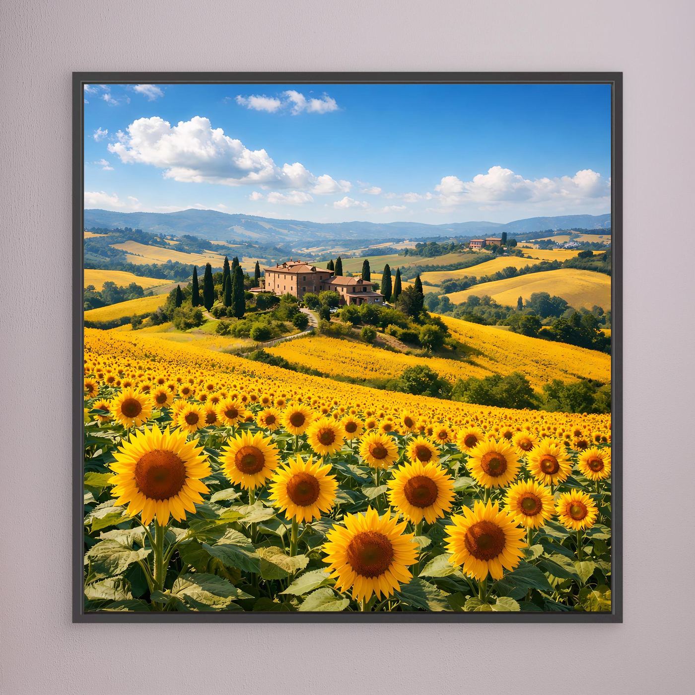 Leinwandbild mit Sonnenblumenfeld und toskanischer Hügellandschaft, schwarz gerahmt (klein)