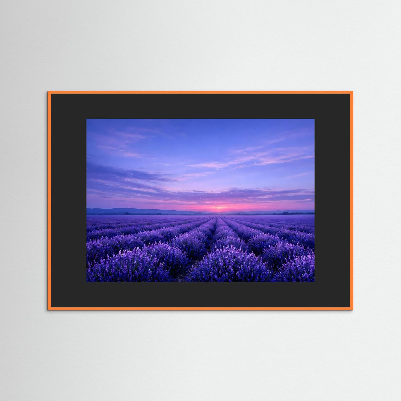 Poster Lavendelfeld im Sonnenuntergang | Majestätisches Violettes Wandbild