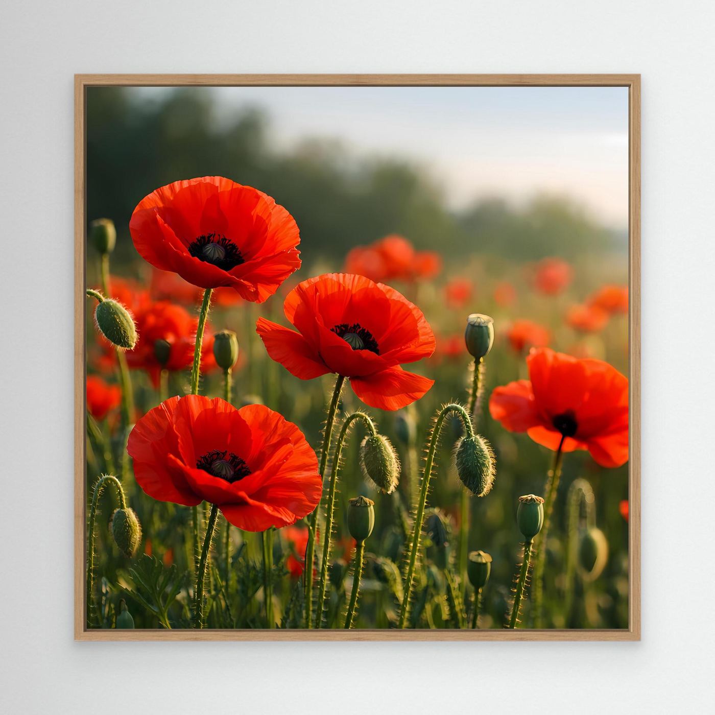 Klatschmohn-Wandbild mit Holzrahmen, rote Blüten und grüne Stiele im Nahblick