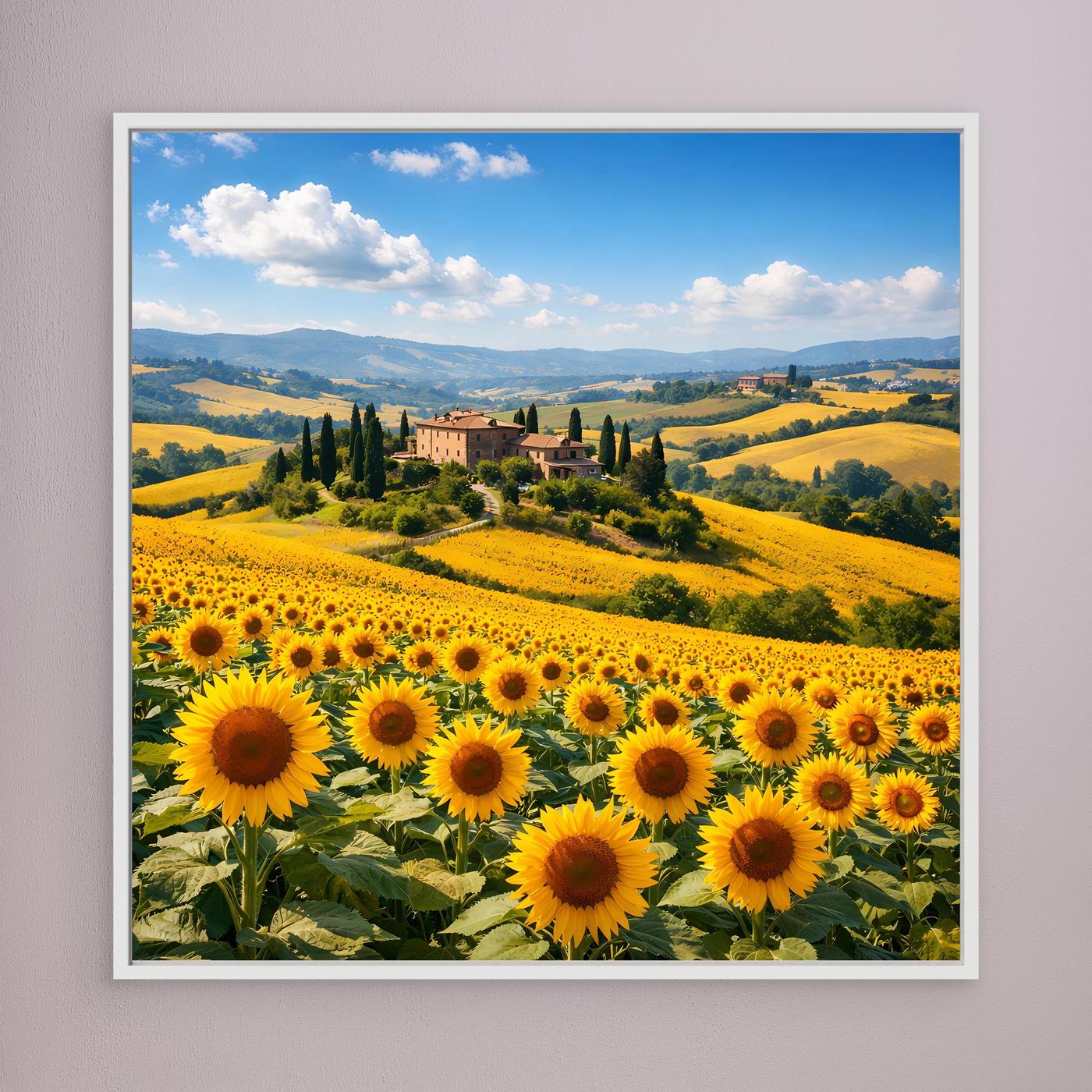 Leinwandbild mit Sonnenblumenfeld und toskanischer Hügellandschaft, weiß gerahmt (klein)