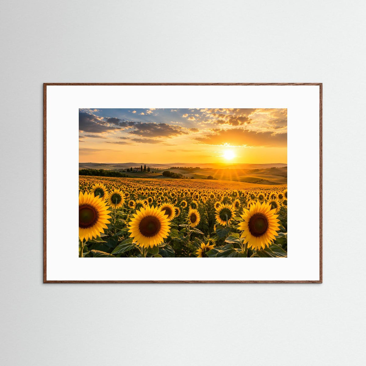 Sonnenblumen-Poster Querformat: Sonnenuntergang im Sonnenblumenfeld, brauner Rahmen