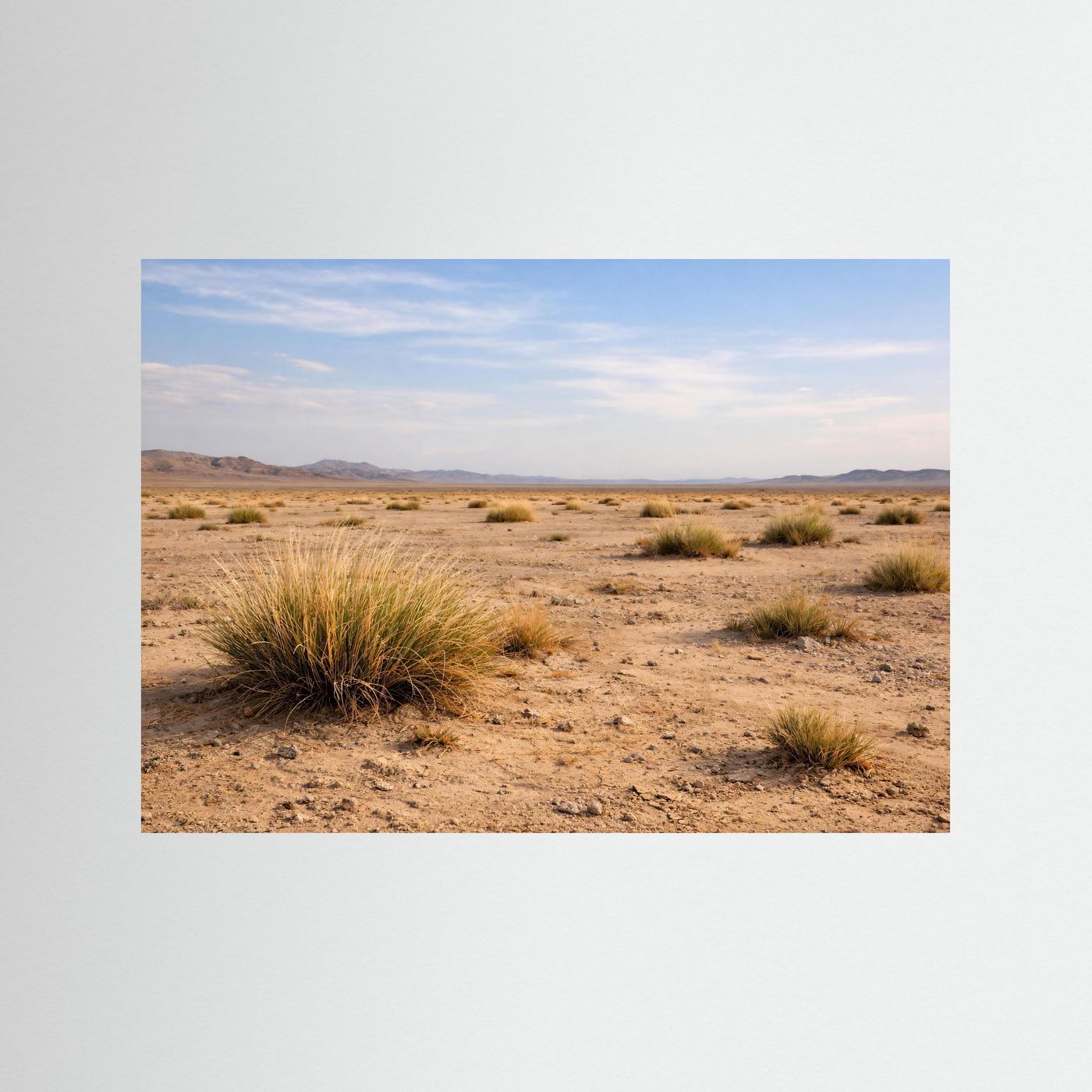 Weite der Steppe | Wüstenlandschaft Naturposter Querformat