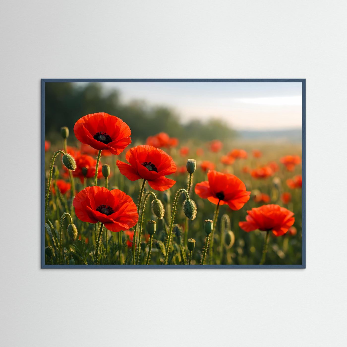 Panorama-Wandposter mit roten Klatschmohnblüten im Feld, grauer Rahmen im Querformat