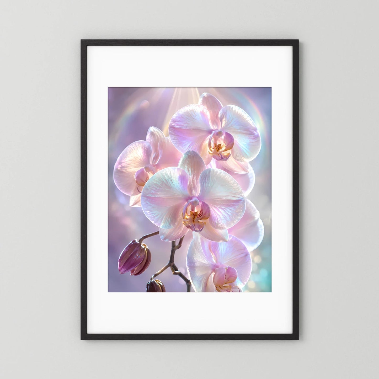 Kunstposter im schwarzen Rahmen mit weißem Passepartout, Orchideen in Rosa und Perlmutt