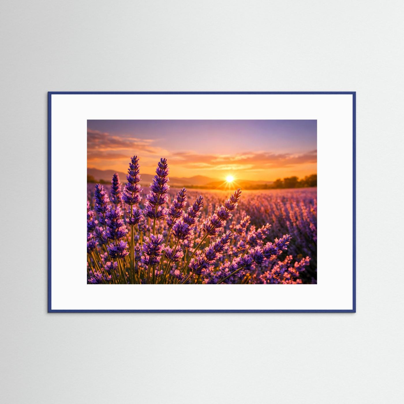 Lavendelzauber im Abendlicht | Provence & Sonnenuntergang Panorama Poster Querformat