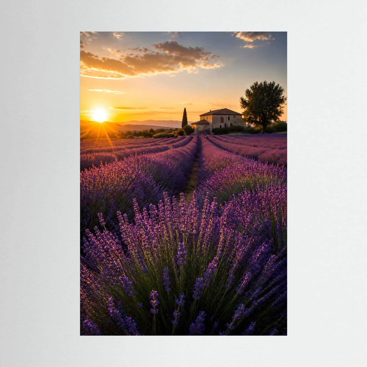 Kunstposter im Hochformat: Lavendelfeld im Sonnenuntergang, violett-goldener Himmel