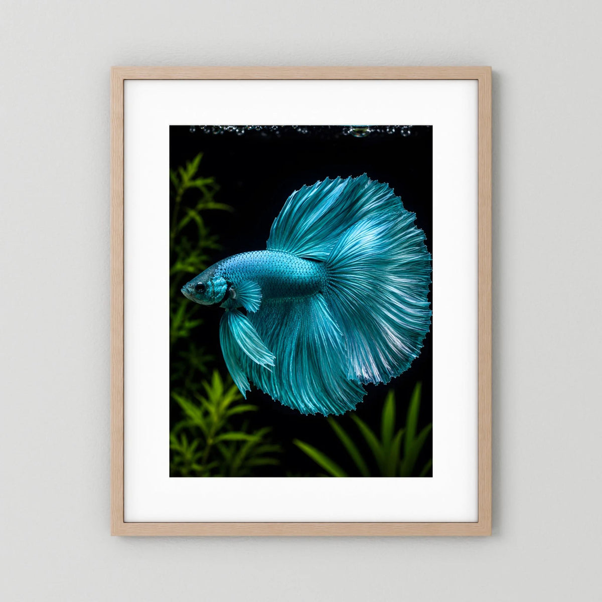 Kunstposter mit türkisfarbenem Betta-Fisch, hellbrauner Rahmen, Hochformat