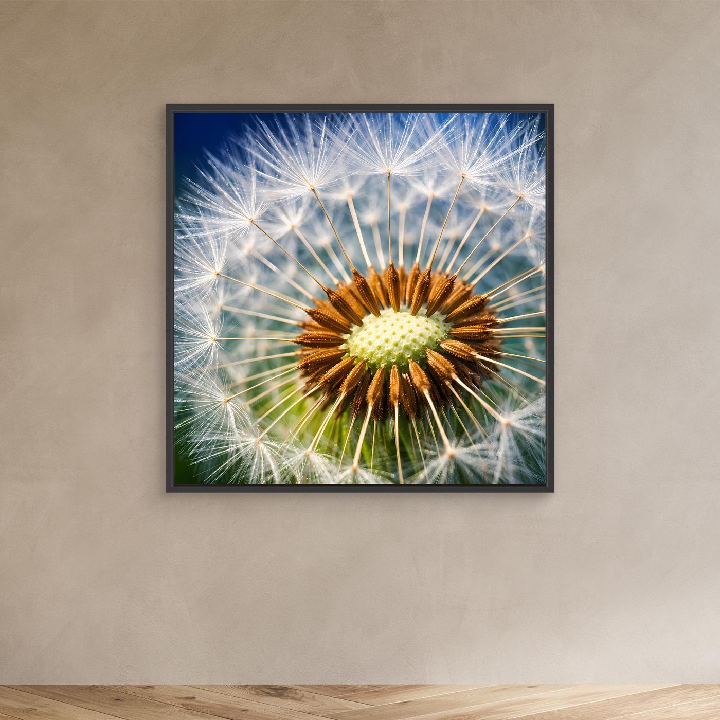 Leinwandbild Pusteblume-Makro mit weiß-gelber Pustendolde, dunkler Rahmen
