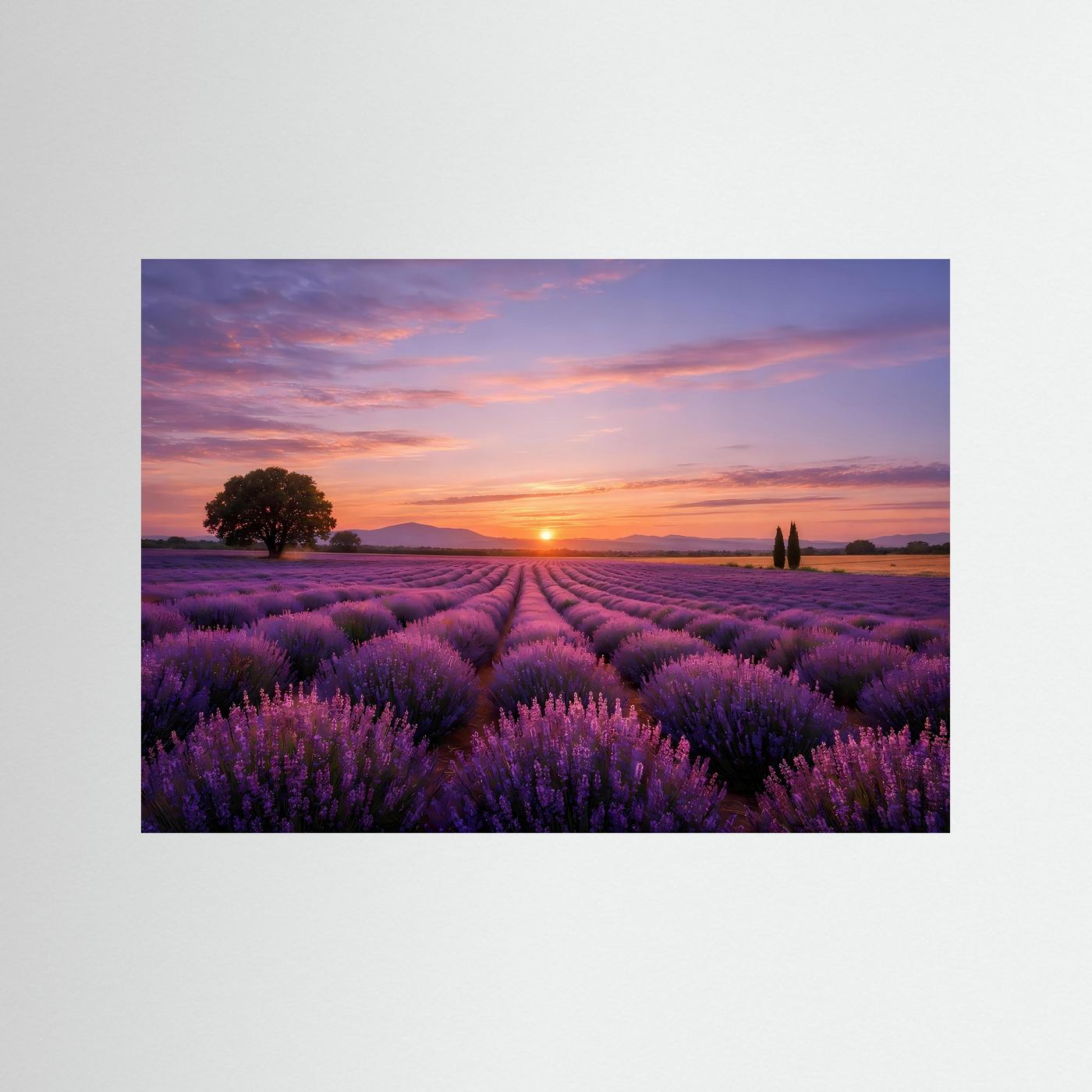 Unrahmtes Natur-Poster im Querformat mit Lavendelfeld und Sonnenuntergangshimmel.