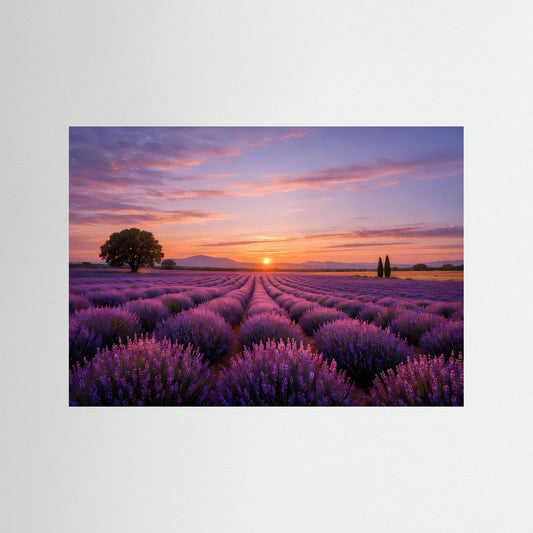Unrahmtes Natur-Poster im Querformat mit Lavendelfeld und Sonnenuntergangshimmel.