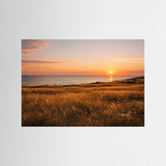 Poster Sonnenuntergang an der Küste: orange Sonne über Meer, Dünen- und Wiesengras.