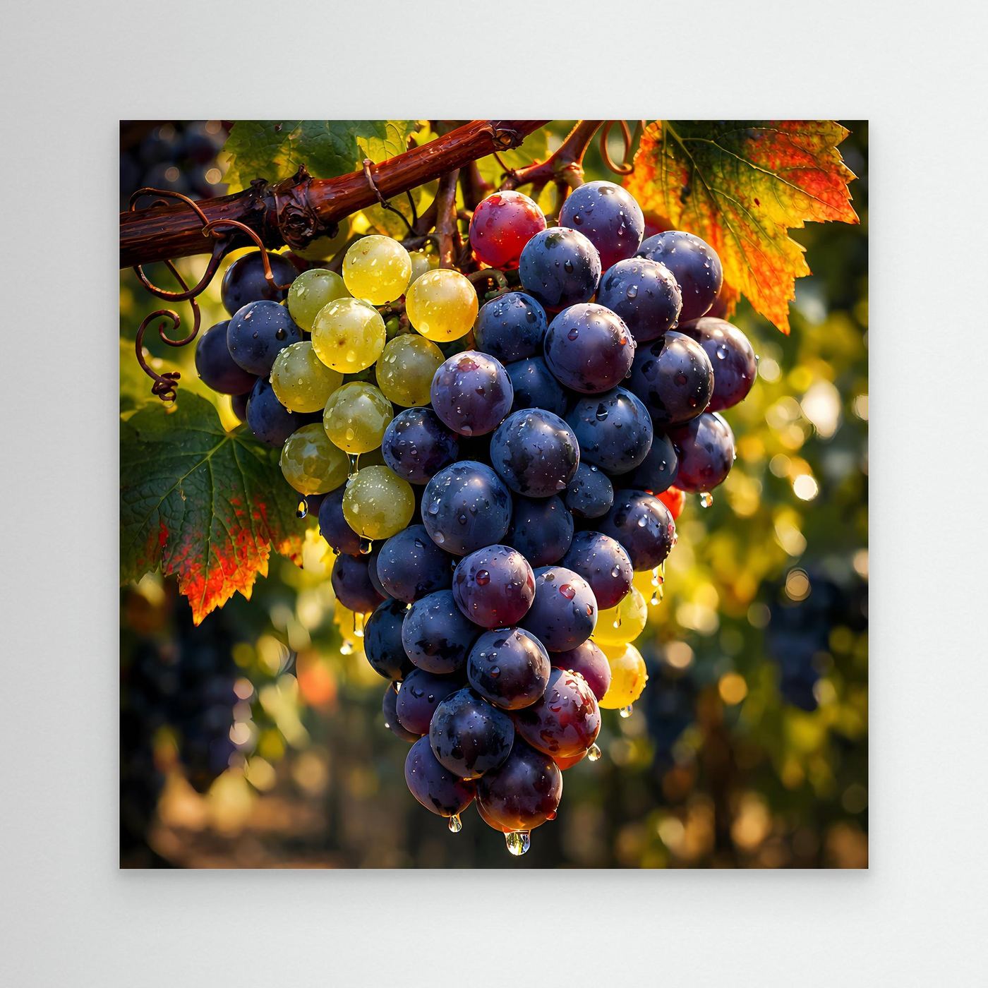 Wandbild mit Weinreben und Weintrauben, blaue und gelbe Beeren, Herbstblätter