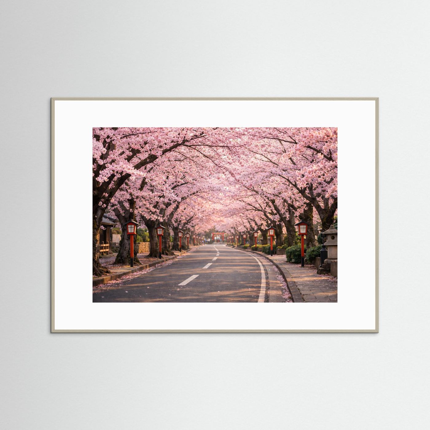 Kirschblütenallee-Panorama-Poster im hellen Holzrahmen, Querformat, Straße unter rosa Blüten