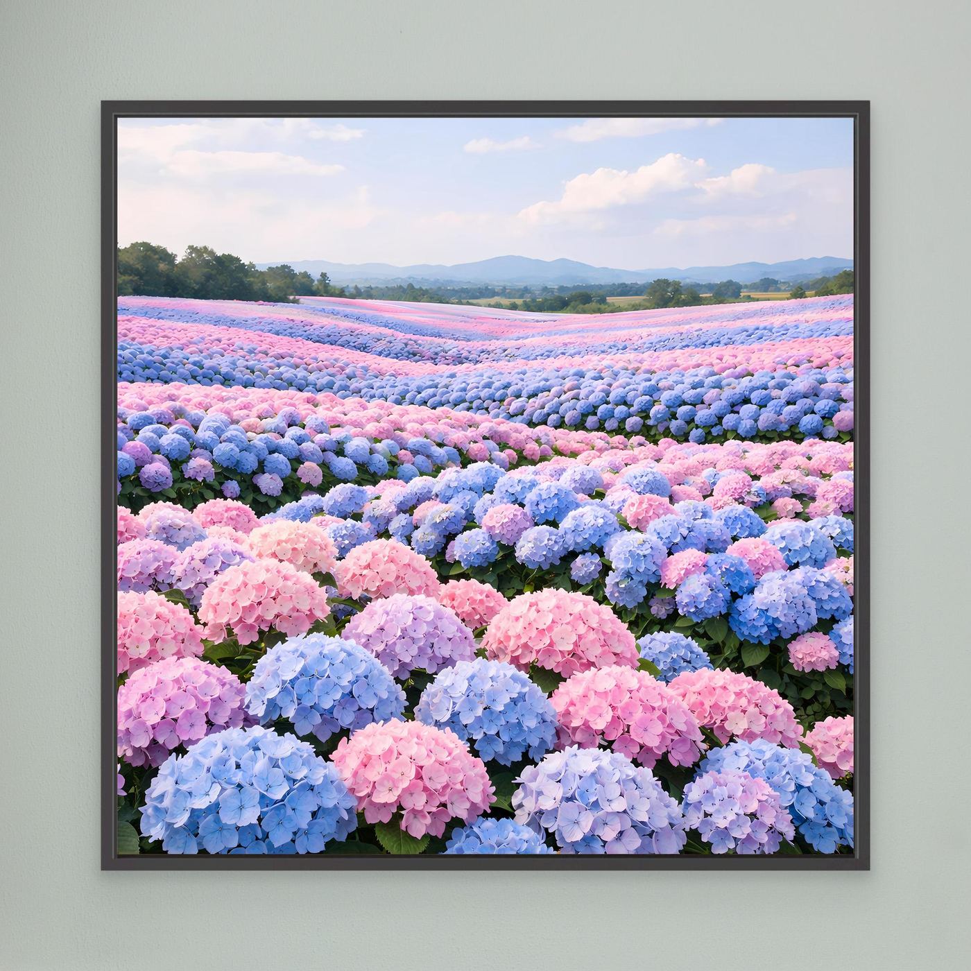 Leinwandbild mit Hortensienfeld in Pastellfarben, schwarz gerahmt