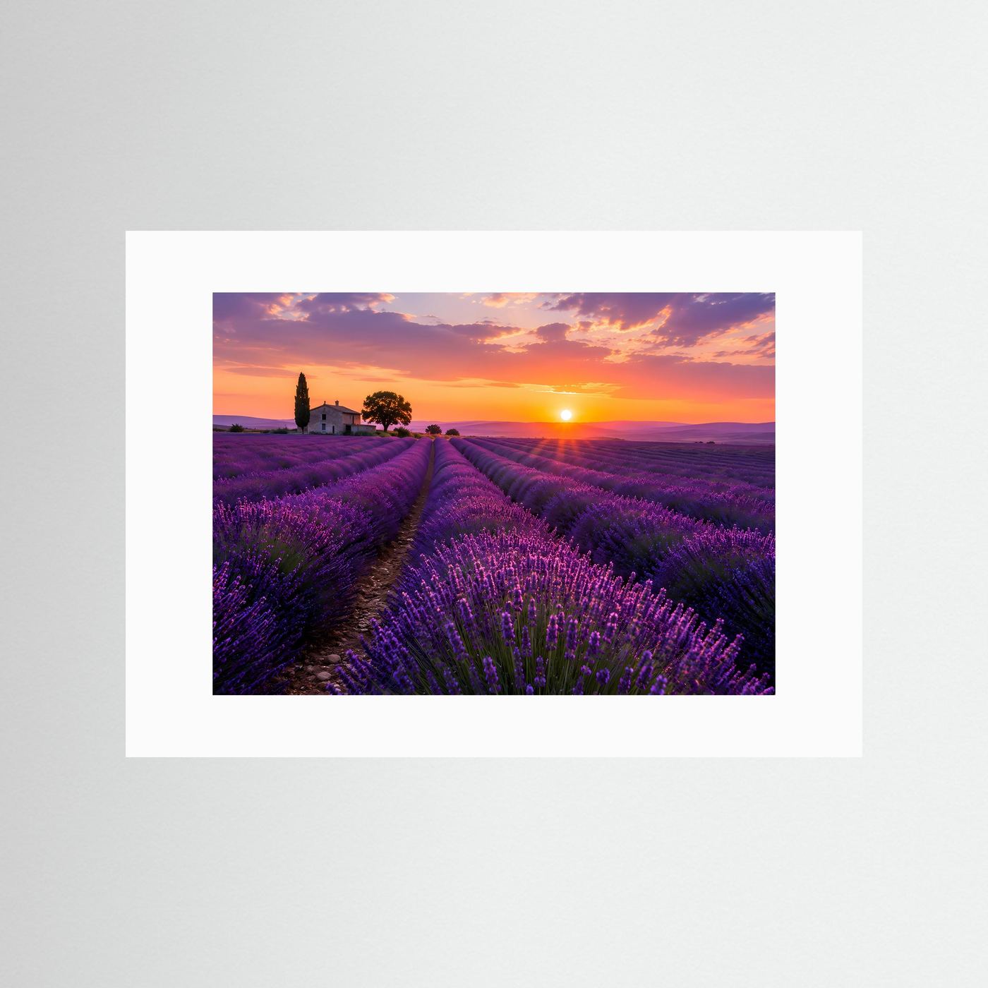 Lavendelfeld Poster Querformat | Provence Landschaft im Sonnenuntergang