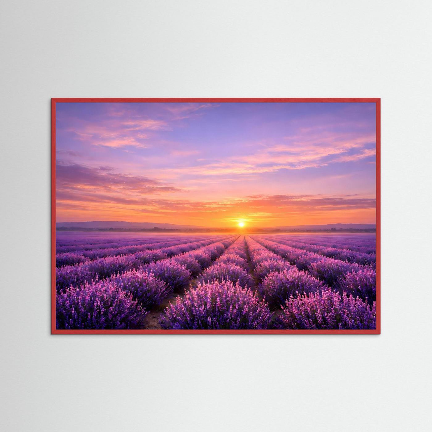 Wandbild mit Lavendelfeld und Sonnenuntergang im roten Rahmen
