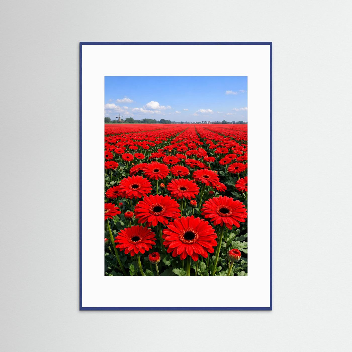 Gerbera-Poster mit rotem Blumenfeld, blauer Holzrahmen